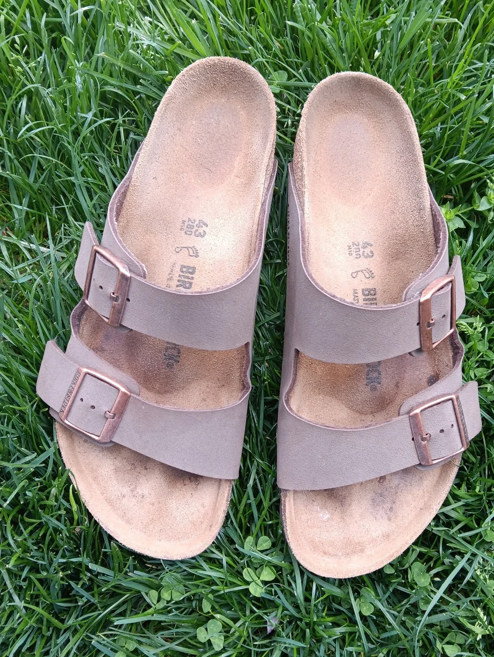 Birkenstock Arizona Two-Strap Sandals in Taupe